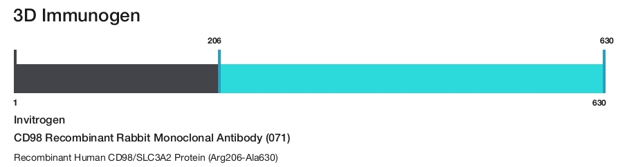 CD98 Recombinant Rabbit Monoclonal Antibody (071)