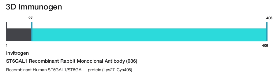 ST6GAL1 Recombinant Rabbit Monoclonal Antibody (036)