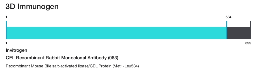 CEL Recombinant Rabbit Monoclonal Antibody (063)