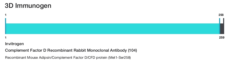 Complement Factor D Recombinant Rabbit Monoclonal Antibody (104)