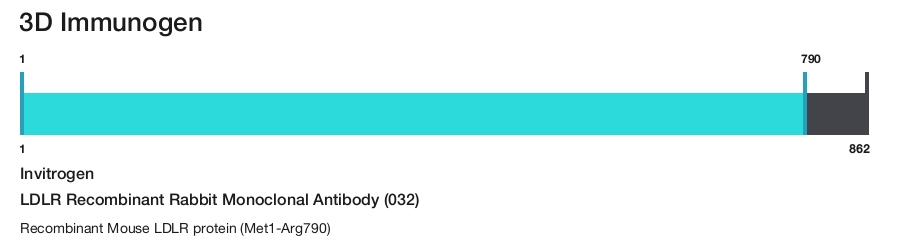 LDLR Recombinant Rabbit Monoclonal Antibody (032)