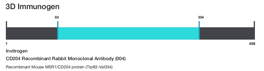 CD204 Recombinant Rabbit Monoclonal Antibody (004)