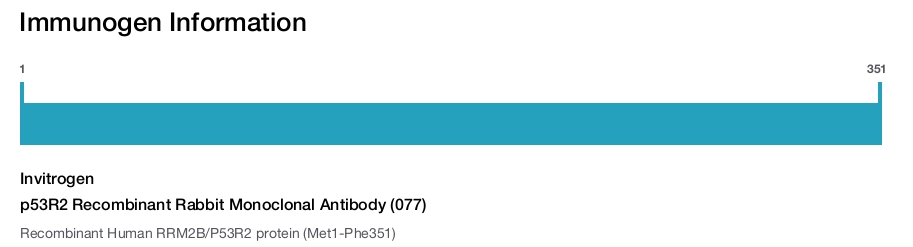 p53R2 Recombinant Rabbit Monoclonal Antibody (077)
