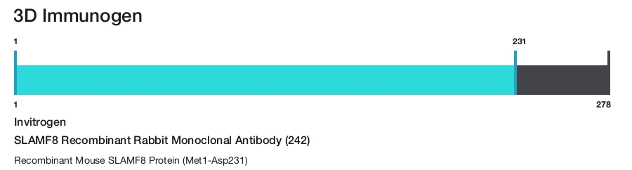 SLAMF8 Recombinant Rabbit Monoclonal Antibody (242)