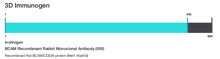 BCAM Recombinant Rabbit Monoclonal Antibody (005)