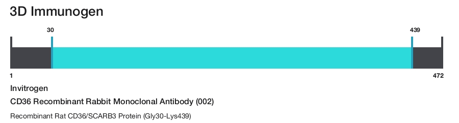 CD36 Recombinant Rabbit Monoclonal Antibody (002)