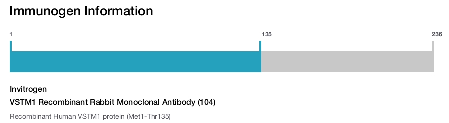 VSTM1 Recombinant Rabbit Monoclonal Antibody (104)