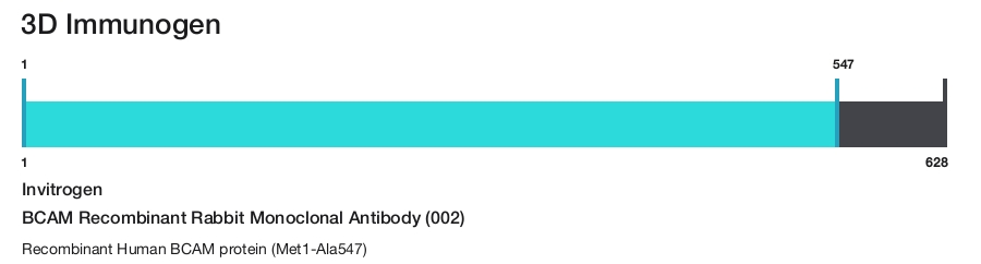 BCAM Recombinant Rabbit Monoclonal Antibody (002)