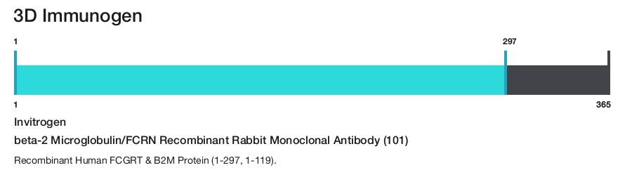 beta-2 Microglobulin/FCRN Recombinant Rabbit Monoclonal Antibody (101)