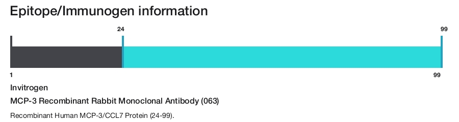 MCP-3 Recombinant Rabbit Monoclonal Antibody (063)