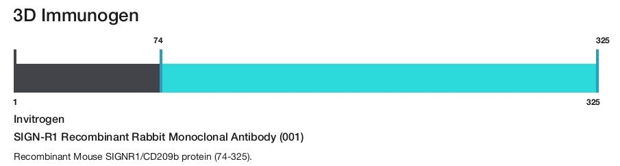 SIGN-R1 Recombinant Rabbit Monoclonal Antibody (001)
