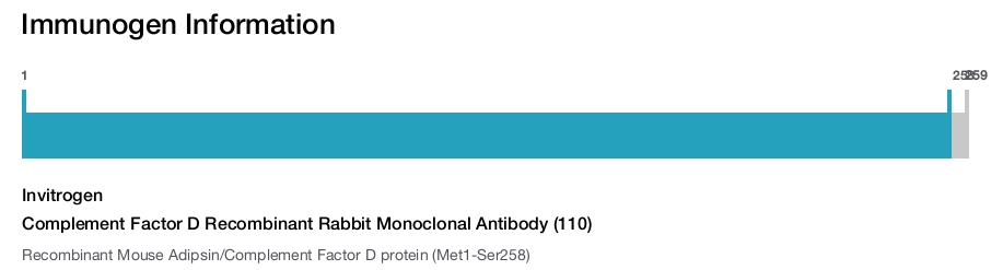 Complement Factor D Recombinant Rabbit Monoclonal Antibody (110)