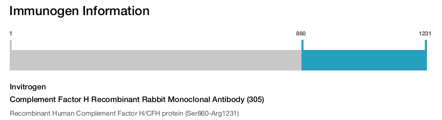 Complement Factor H Recombinant Rabbit Monoclonal Antibody (305)