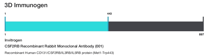 CSF2RB Recombinant Rabbit Monoclonal Antibody (001)