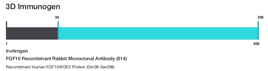 FGF10 Recombinant Rabbit Monoclonal Antibody (014)