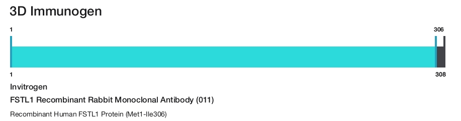 FSTL1 Recombinant Rabbit Monoclonal Antibody (011)