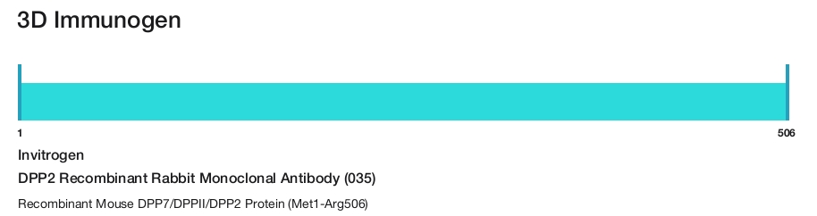 DPP2 Recombinant Rabbit Monoclonal Antibody (035)