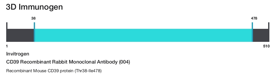 CD39 Recombinant Rabbit Monoclonal Antibody (004)