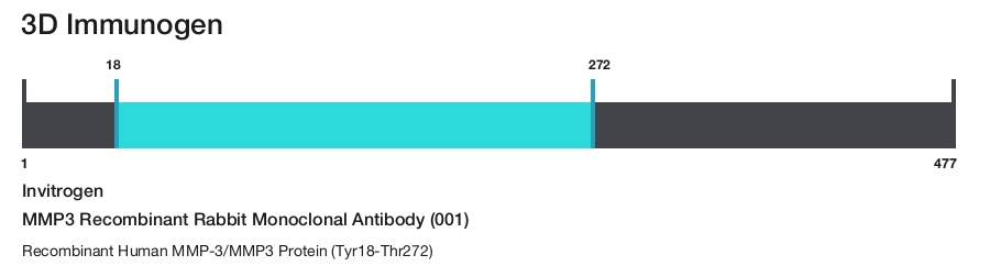 MMP3 Recombinant Rabbit Monoclonal Antibody (001)