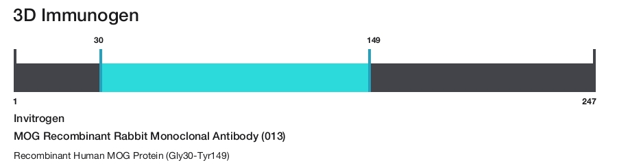 MOG Recombinant Rabbit Monoclonal Antibody (013)