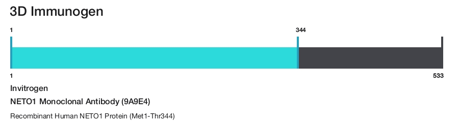 NETO1 Monoclonal Antibody (9A9E4)