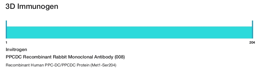 PPCDC Recombinant Rabbit Monoclonal Antibody (008)