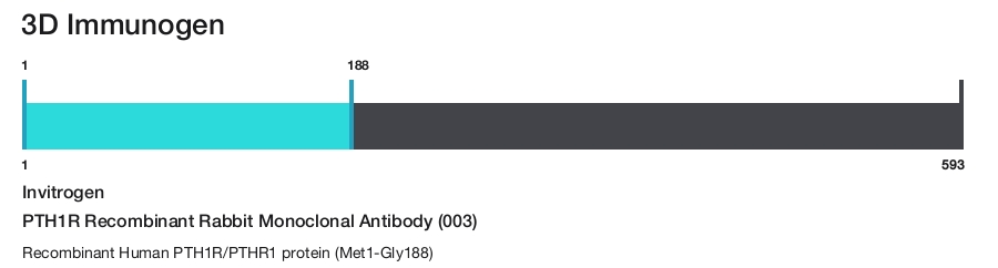 PTH1R Recombinant Rabbit Monoclonal Antibody (003)