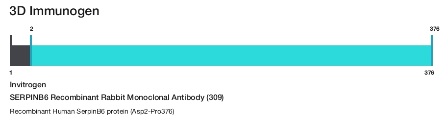 SERPINB6 Recombinant Rabbit Monoclonal Antibody (309)