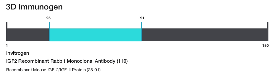 IGF2 Recombinant Rabbit Monoclonal Antibody (110)