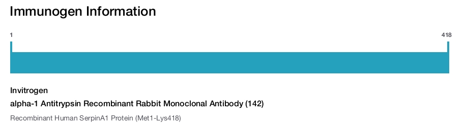 alpha-1 Antitrypsin Recombinant Rabbit Monoclonal Antibody (142)