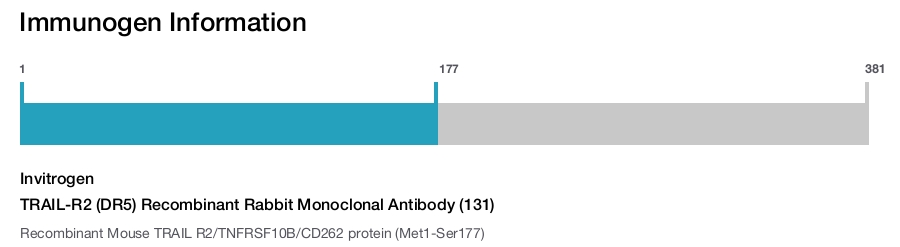 TRAIL-R2 (DR5) Recombinant Rabbit Monoclonal Antibody (131)