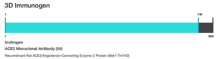 ACE2 Monoclonal Antibody (04)