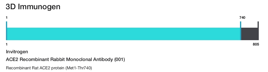 ACE2 Recombinant Rabbit Monoclonal Antibody (001)