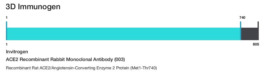ACE2 Recombinant Rabbit Monoclonal Antibody (003)