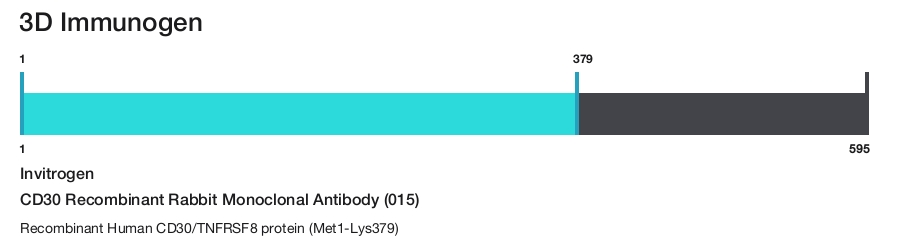 CD30 Recombinant Rabbit Monoclonal Antibody (015)