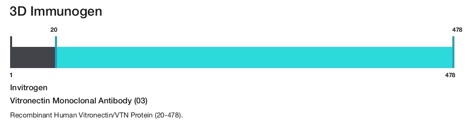 Vitronectin Monoclonal Antibody (03)
