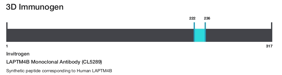 LAPTM4B Monoclonal Antibody (CL5289)