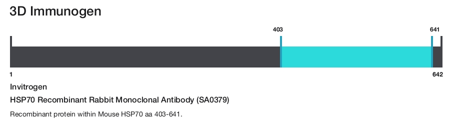 HSP70 Recombinant Rabbit Monoclonal Antibody (SA0379)