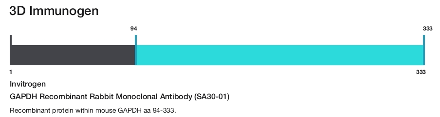 GAPDH Recombinant Rabbit Monoclonal Antibody (SA30-01)