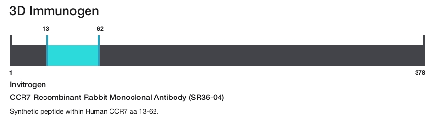 CCR7 Recombinant Rabbit Monoclonal Antibody (SR36-04)