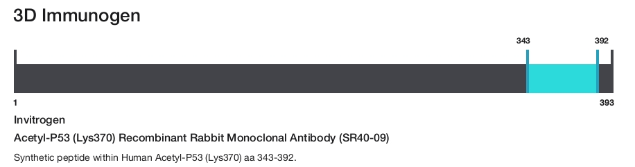 Acetyl-P53 (Lys370) Recombinant Rabbit Monoclonal Antibody (SR40-09)