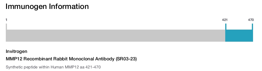 MMP12 Recombinant Rabbit Monoclonal Antibody (SR03-23)
