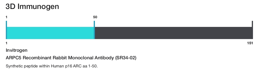 ARPC5 Recombinant Rabbit Monoclonal Antibody (SR34-02)