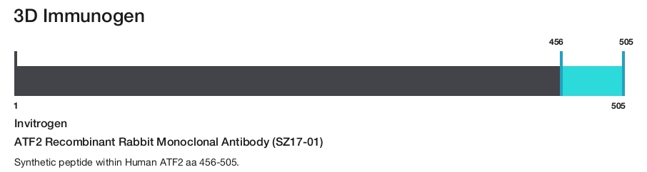 ATF2 Recombinant Rabbit Monoclonal Antibody (SZ17-01)