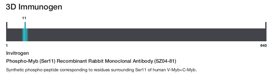 Phospho-Myb (Ser11) Recombinant Rabbit Monoclonal Antibody (SZ04-81)