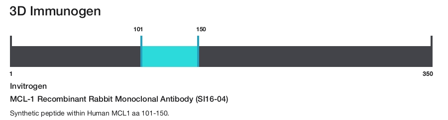 MCL-1 Recombinant Rabbit Monoclonal Antibody (SI16-04)