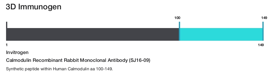 Calmodulin Recombinant Rabbit Monoclonal Antibody (SJ16-09)