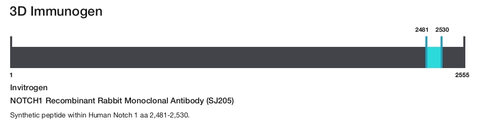 NOTCH1 Recombinant Rabbit Monoclonal Antibody (SJ205)