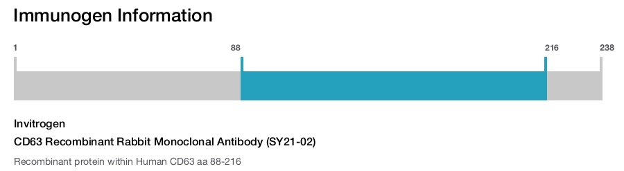 CD63 Recombinant Rabbit Monoclonal Antibody (SY21-02)