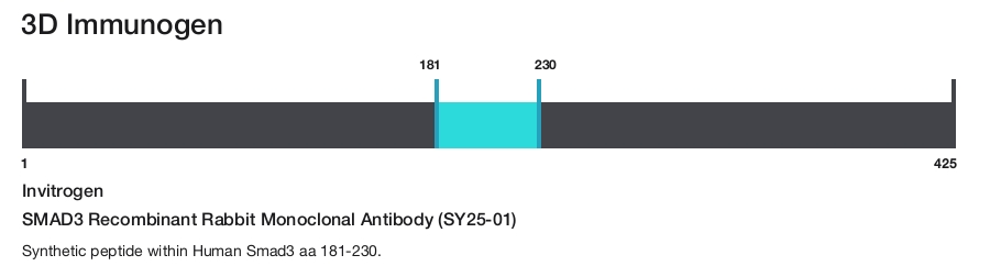 SMAD3 Recombinant Rabbit Monoclonal Antibody (SY25-01)